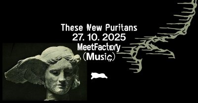 Plakát These New Puritans